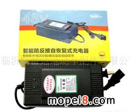 ����ǧ��48V12AH�����