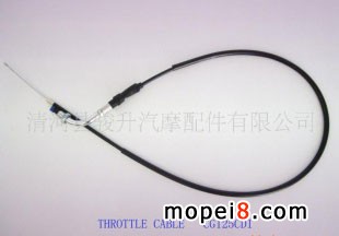 ����(y��ng)Ħ������,�x��,���T,�ױ�,�x܇