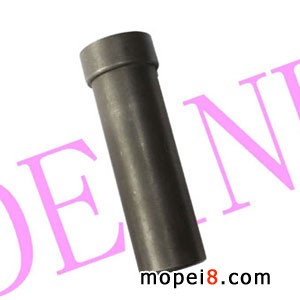 ǰ���_ĸ����