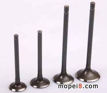 ����100��125���T