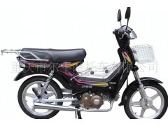 �ؑc�Р��SĦ��܇���޹�˾��������܇