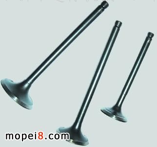 ����(y��ng)Ħ��܇���T