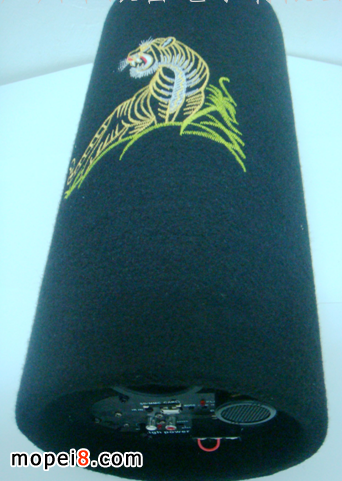 5��ë��12V/24V��������FM)Ħ��܇������