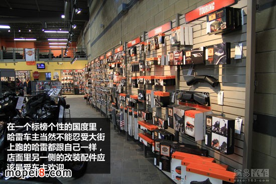 ����Ħ��܇���b���