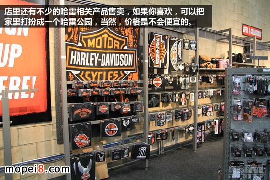 ����Ħ��܇�Ļ�