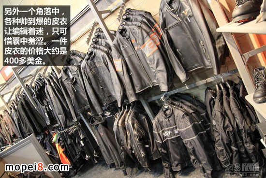 ����Ħ��܇���bƤ��