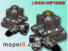 �p��ȼ������܇