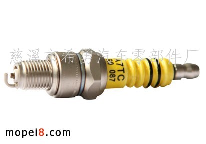 ����(y��ng)Ħ��܇����