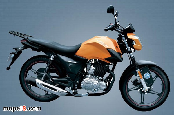 �r�ЄՌ��ıȁ���TORY������Ħ��܇��܇