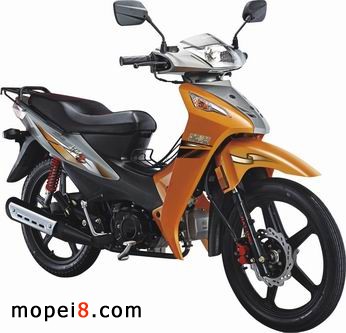 JL110-8B�Î�2��