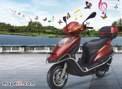 �X���琂QJ125T-9E