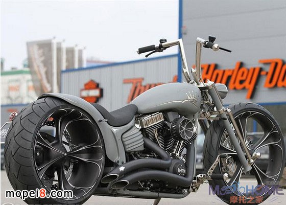 Thunderbike定制哈雷摩托車Nickel Rocker
