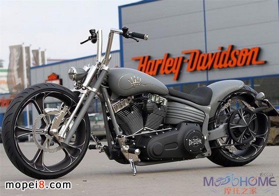 Thunderbike定制哈雷摩托車Nickel Rocker