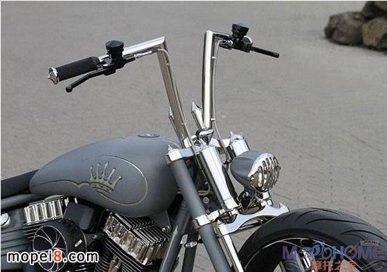 Thunderbike定制哈雷摩托車Nickel Rocker