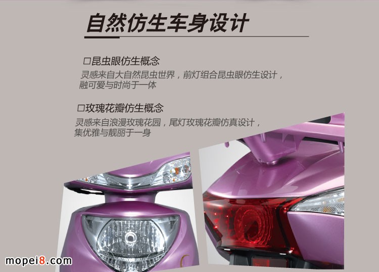 �����L��Ħ��܇��Ȼ����܇���OӋ