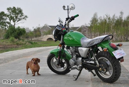 �y�MINI��YG150-22Ħ��܇�T�Ј��