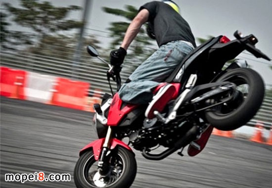 ����Honda MSX125Ħ��܇�ؼ��N��݆