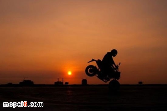 ����Honda MSX125Ħ��܇����