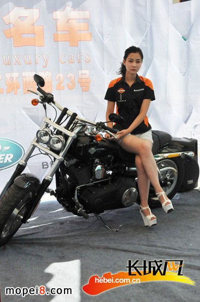 ����Ħ��܇�����ʮ�ˌ��Ї��������ν��ו�