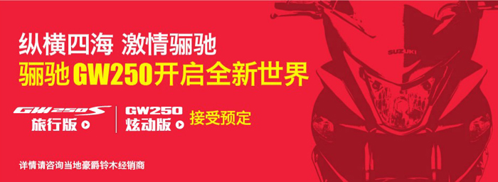 �����ľ�P�YGW250S���а�/GW250�ńӰ�����A��