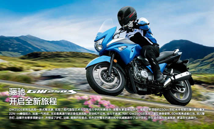 �����ľ�P�YGW250S���а�