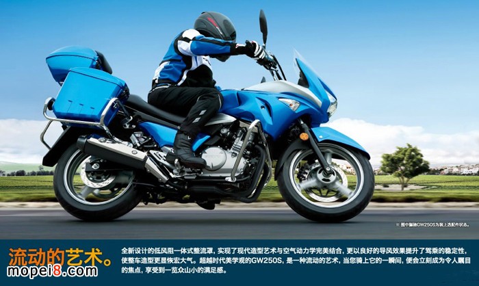 �����ľ�P�YGW250S���а�