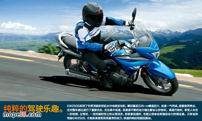 �����ľ�P�YGW250S���а�