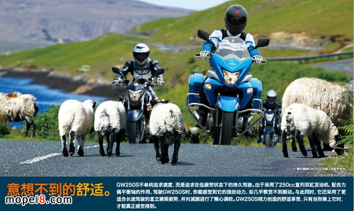 �����ľ�P�YGW250S���а�