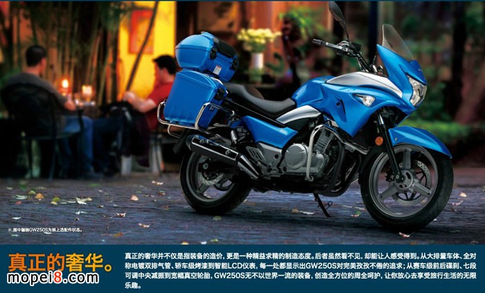 �����ľ�P�YGW250S���а�