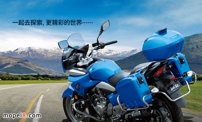 �����ľ�P�YGW250S���а�