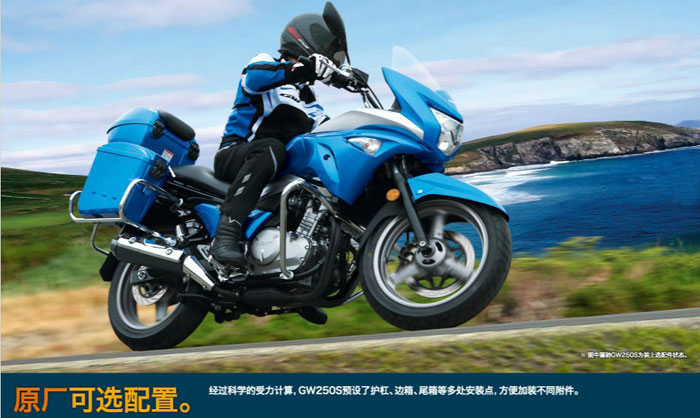 �����ľ�P�YGW250S���а�