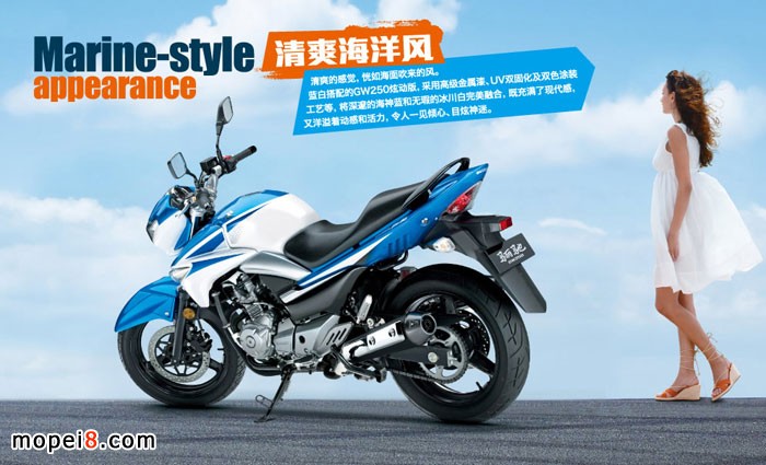 �����ľ�P�YGW250�ńӰ�