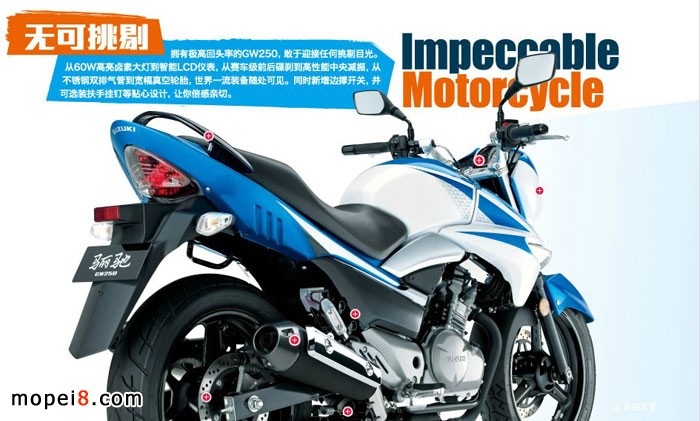 �����ľ�P�YGW250�ńӰ�