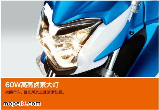 �����ľ�P�YGW250�ńӰ�