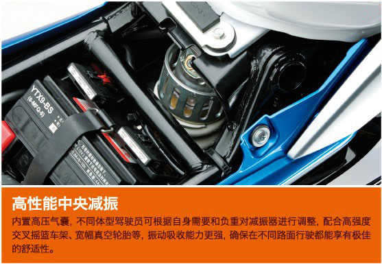 �����ľ�P�YGW250�ńӰ�