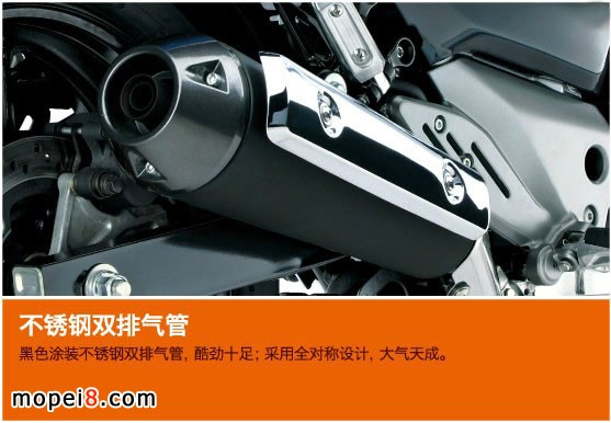 �����ľ�P�YGW250�ńӰ�