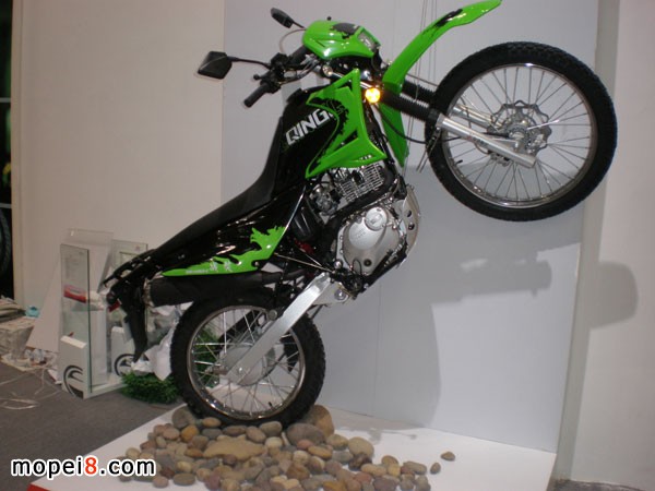 �m���A�I(y��)���Q(m��o)���޹�˾�p�T�ľĦ��܇