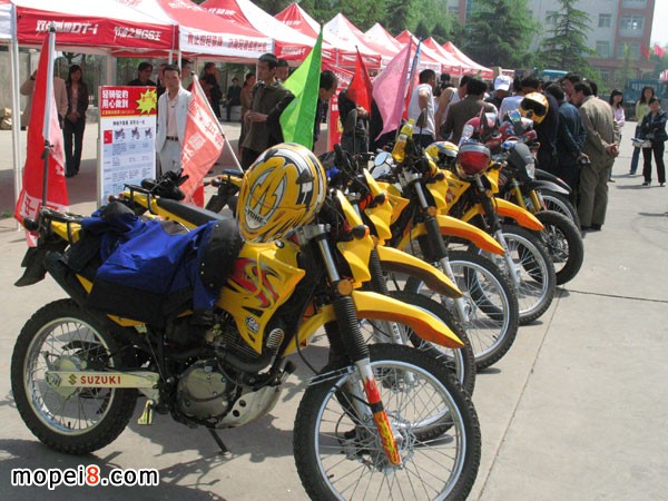 �m���A�I(y��)���Q(m��o)���޹�˾�p�T�ľĦ��܇