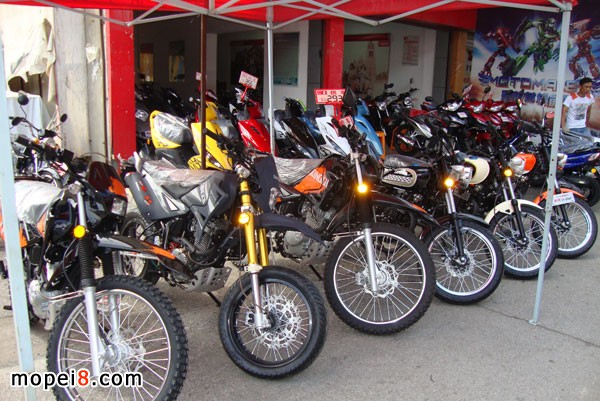 �����G��ɳ�Ѕ^(q��)�y�l(f��)Ħ��܇�̵��p�T�ľĦ��܇