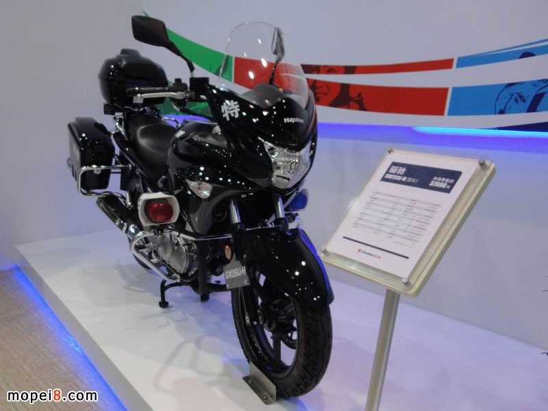 �����ľĦ��܇�P�YGW250