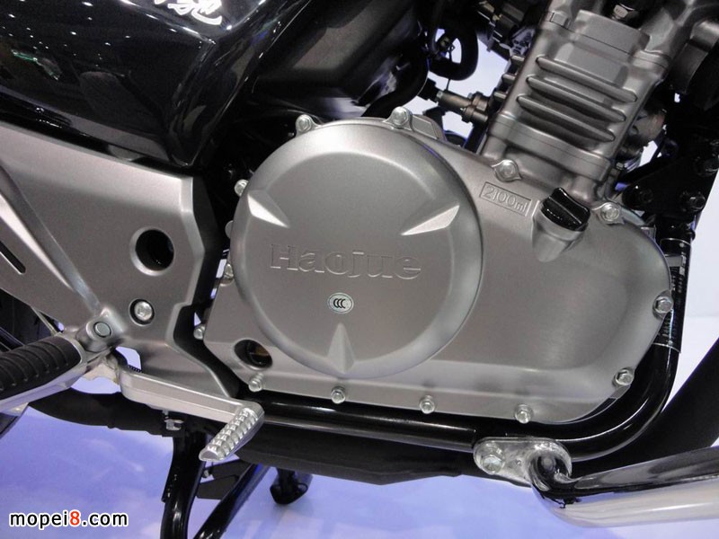 �����ľĦ��܇�P�YGW250