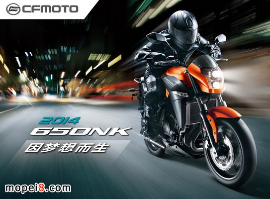 2014��L650NK��������