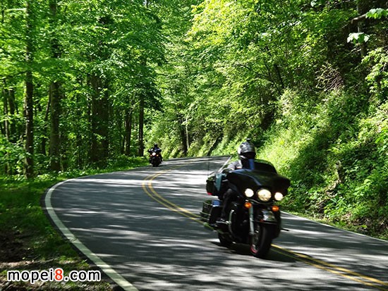 ����Ħ��܇�T��·��