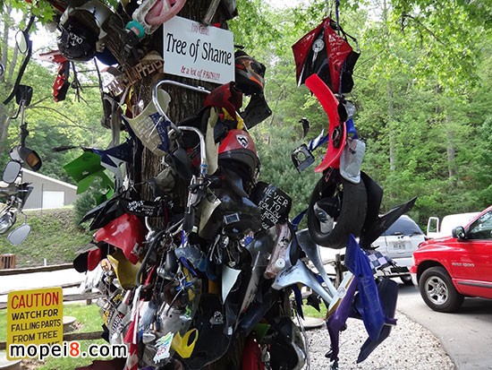 ����Ħ��܇�T��·��