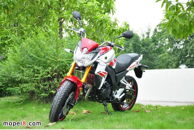 銀鋼獸車YG250NT摩托車圖片欣賞