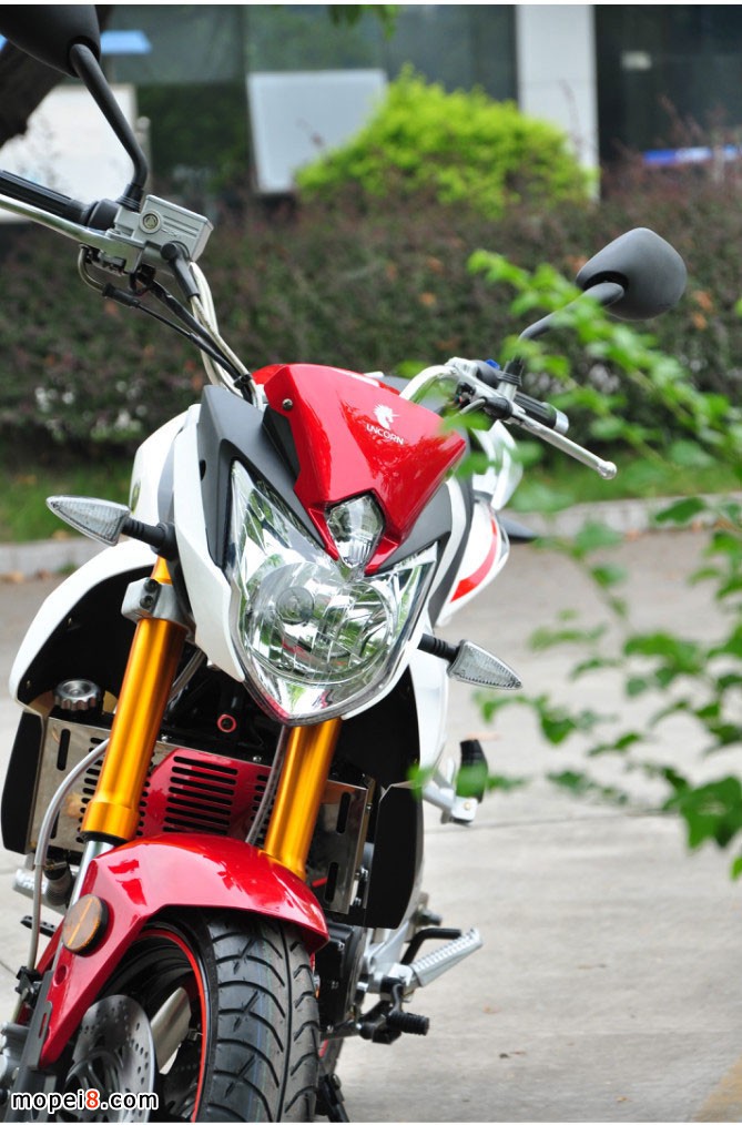 銀鋼獸車YG250NT摩托車圖片欣賞