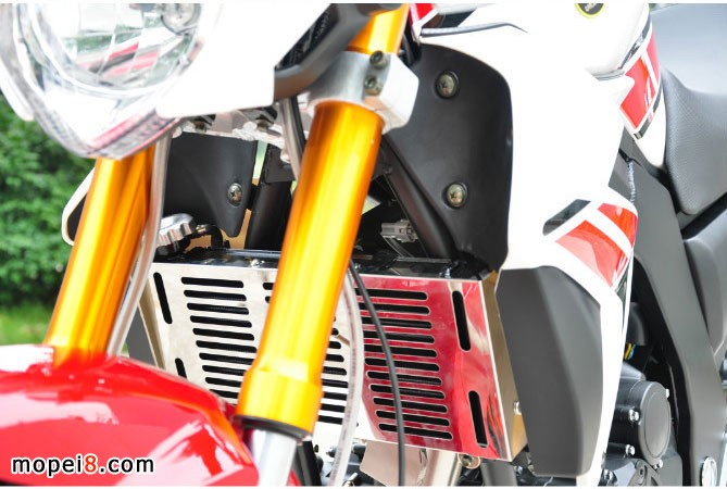 銀鋼獸車YG250NT摩托車圖片欣賞