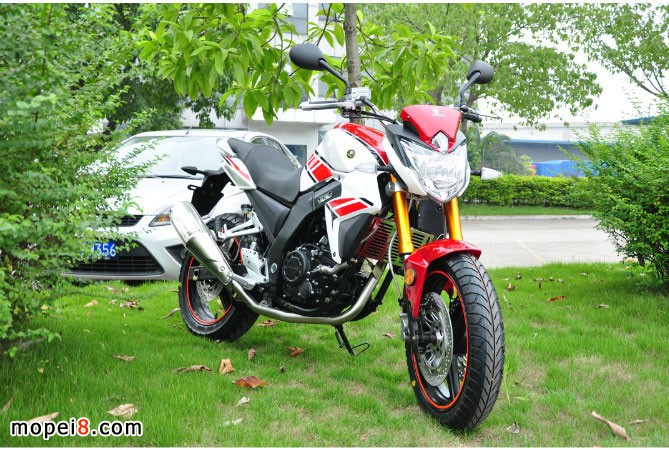 銀鋼獸車YG250NT摩托車圖片欣賞