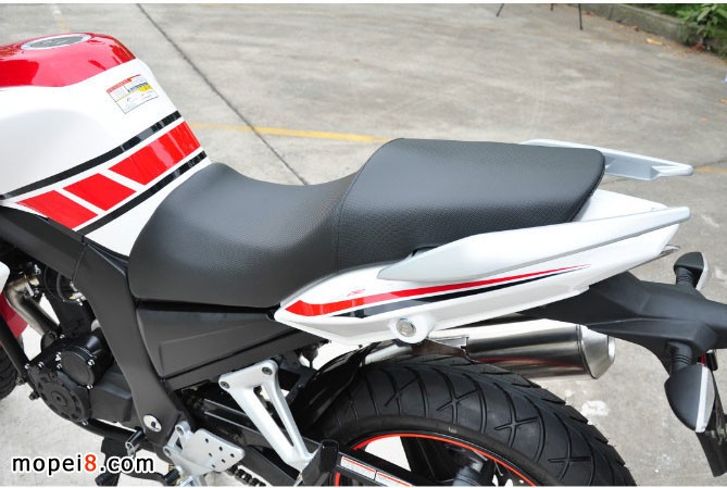 銀鋼獸車YG250NT摩托車圖片欣賞