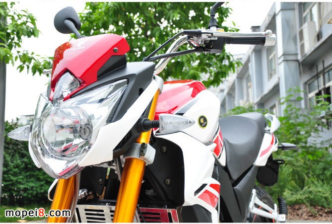 銀鋼獸車YG250NT摩托車圖片欣賞